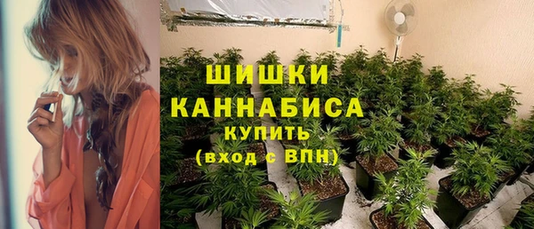гашик Покровск