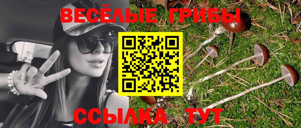 Галлюциногенные грибы Magic Shrooms  Вход с VPN  Кунгур  Псилоцибиновые грибы GOLDEN TEACHER 
