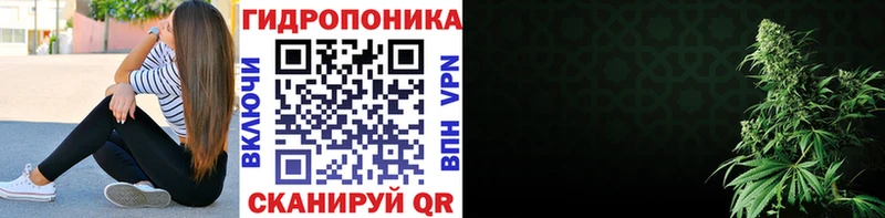 купить  цена  Кунгур  Канабис гибрид 
